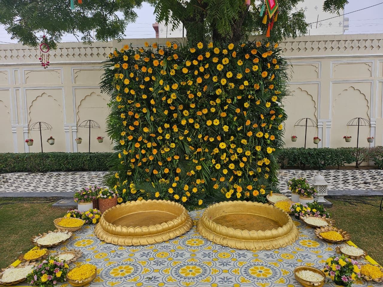 Manisha & Rohan - Haldi